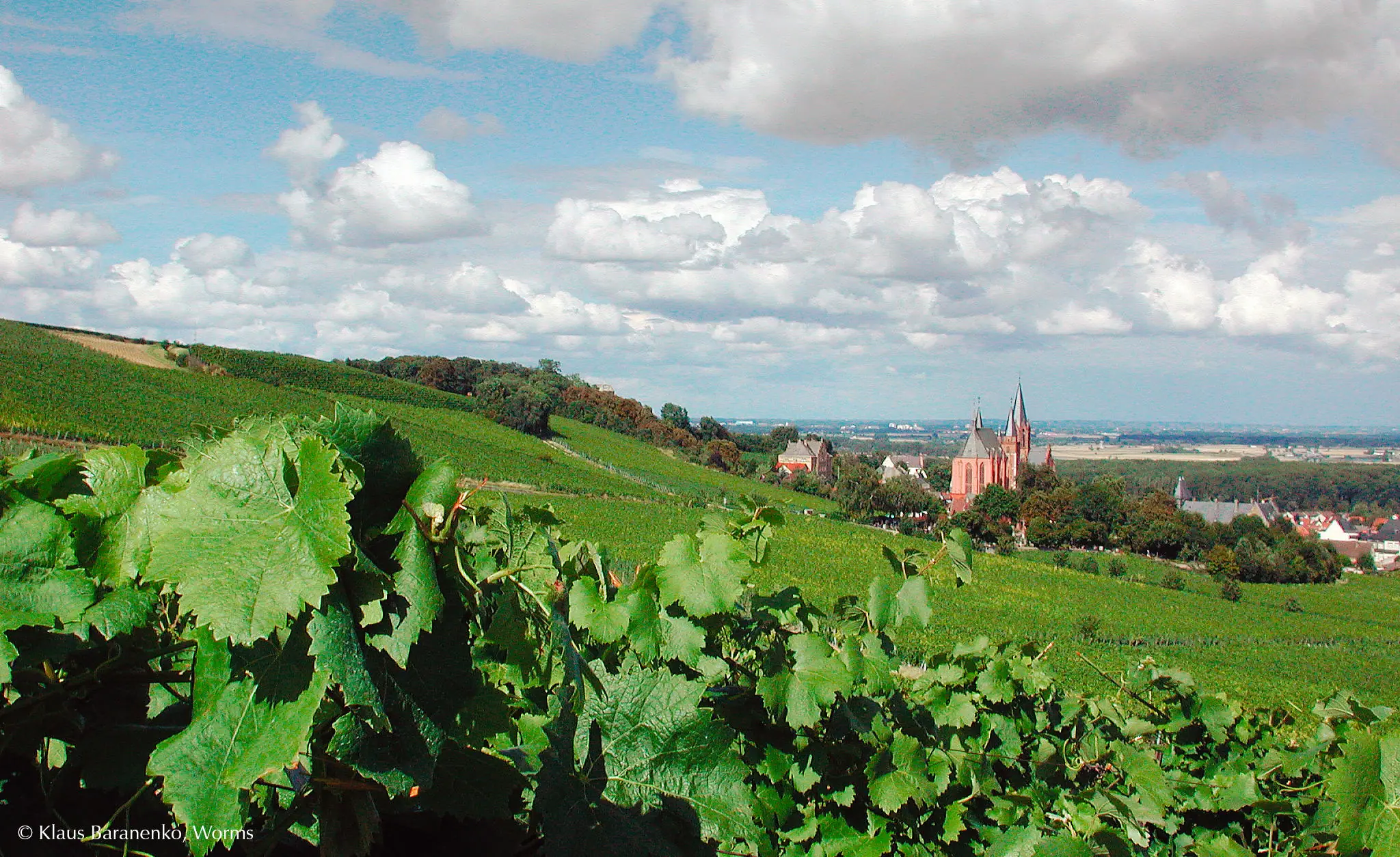 Landschaft vor Oppenheim mit Katharinenkirche